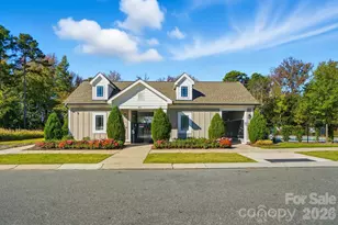 12009 Chesapeake Mallard Dr, Charlotte, NC 28262 - Photo 31