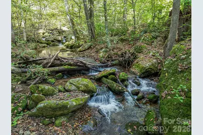 945 Roaring Fork Road, Hot Springs, NC 28743 - Photo 5