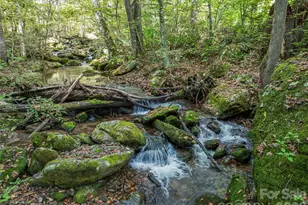 945 Roaring Fork Rd, Hot Springs, NC 28743 - Photo 5
