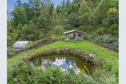 945 Roaring Fork Road, Hot Springs, NC 28743 - Photo 33