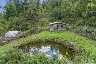 945 Roaring Fork Rd, Hot Springs, NC 28743 - Photo 33