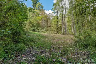 945 Roaring Fork Rd, Hot Springs, NC 28743 - Photo 43