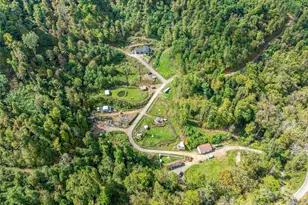 945 Roaring Fork Rd, Hot Springs, NC 28743 - Photo 23