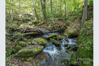 945 Roaring Fork Road, Hot Springs, NC 28743 - Photo 3