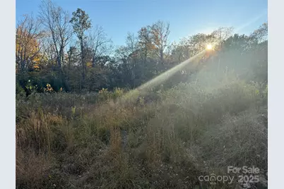 3642 Waterloo Drive, Harrisburg, NC 28075 - Photo 3