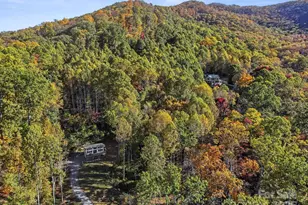 96 & 97 Old Cove Rd, Black Mountain, NC 28711 - Photo 37