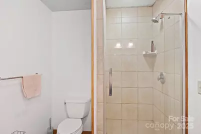 96 & 97 Old Cove Road, Black Mountain, NC 28711 - Photo 29