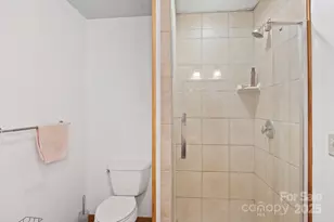 96 & 97 Old Cove Rd, Black Mountain, NC 28711 - Photo 29