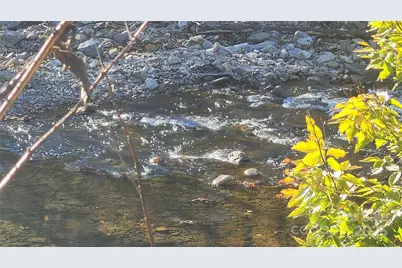 141 Hungry Creek Road, Canton, NC 28716 - Photo 35