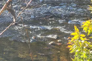 141 Hungry Creek Rd, Canton, NC 28716 - Photo 35