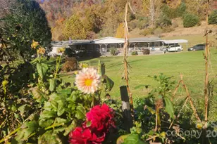 141 Hungry Creek Rd, Canton, NC 28716 - Photo 3