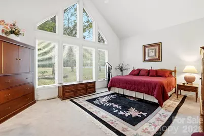 290 Blucher Circle, Lake Wylie, SC 29710 - Photo 19