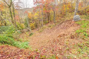 1 Kelsey Ct, Swannanoa, NC 28778 - Photo 23