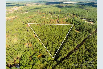 00 Louis Breeden Boulevard, Hamlet, NC 28345 - Photo 3