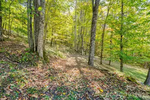 1495 El Miner Dr, Mars Hill, NC 28754 - Photo 37