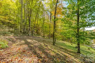 1495 El Miner Dr, Mars Hill, NC 28754 - Photo 41