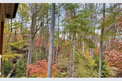 309 Sassafras Court, Lenoir, NC 28645 - Photo 21