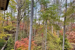 309 Sassafras Ct, Lenoir, NC 28645 - Photo 21