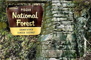 309 Sassafras Ct, Lenoir, NC 28645 - Photo 43