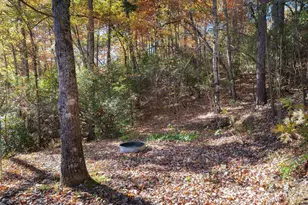 22 Faholoa Ridge Rd, Black Mountain, NC 28711 - Photo 47