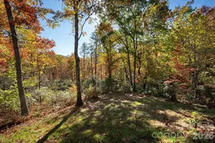 22 Faholoa Ridge Rd, Black Mountain, NC 28711 - Photo 37
