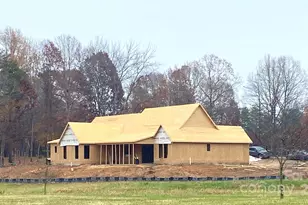 123 Buffalo Creek Dr, Statesville, NC 28677 - Photo 5