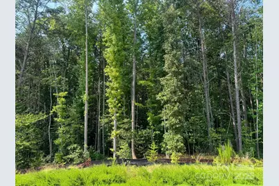 7870 Iron Road, Sherrills Ford, NC 28673 - Photo 21