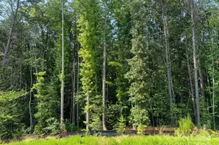 7870 Iron Rd, Sherrills Ford, NC 28673 - Photo 21