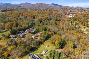 24 Ian River Dr, Asheville, NC 28806 - Photo 33