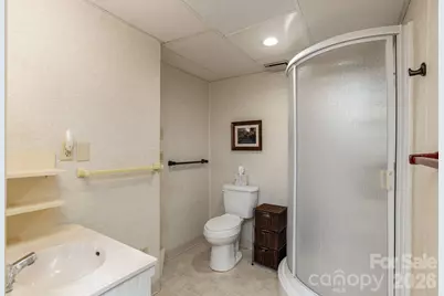 250 Butternut Lane, Brevard, NC 28712 - Photo 35