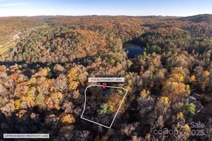 250 Butternut Ln, Brevard, NC 28712 - Photo 39