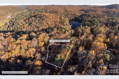 250 Butternut Lane, Brevard, NC 28712 - Photo 41