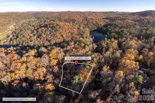 250 Butternut Ln, Brevard, NC 28712 - Photo 41