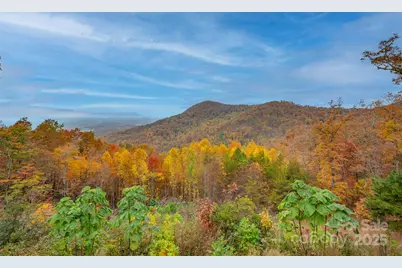 311 Mountain Lookout Drive, Bostic, NC 28018 - Photo 17