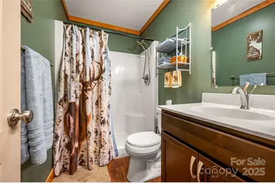 311 Mountain Lookout Drive, Bostic, NC 28018 - Photo 21