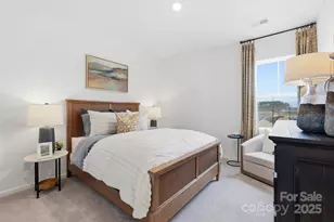 5505 Wolfpack Aly, Indian Land, SC 29707 - Photo 23