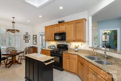 115 Chancery Court, Flat Rock, NC 28731 - Photo 19