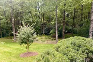 115 Chancery Ct, Flat Rock, NC 28731 - Photo 43