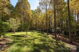 115 Chancery Ct, Flat Rock, NC 28731 - Photo 39