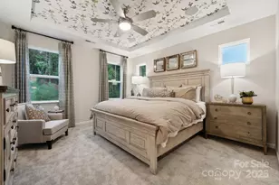 5507 Wolfpack Aly, Indian Land, SC 29707 - Photo 13