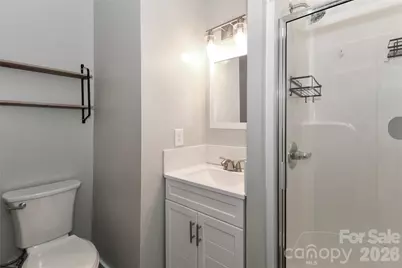313 Dingler Avenue, Mooresville, NC 28115 - Photo 19