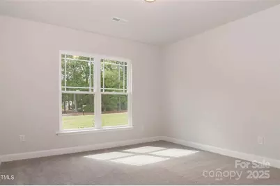 5134 Colchester Court #65, Catawba, NC 28609 - Photo 17