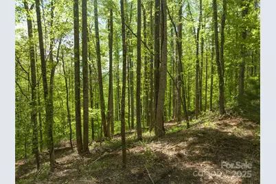 26 Fall Mountain Road #58, Asheville, NC 28803 - Photo 9