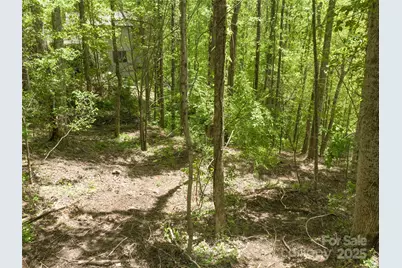 26 Fall Mountain Road #58, Asheville, NC 28803 - Photo 7