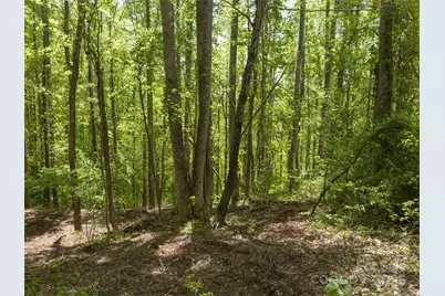 26 Fall Mountain Road #58, Asheville, NC 28803 - Photo 5