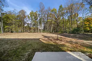 3200 Polk and White Rd, Charlotte, NC 28269 - Photo 19