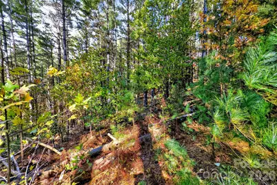 0 West Point Drive, Nebo, NC 28761 - Photo 3