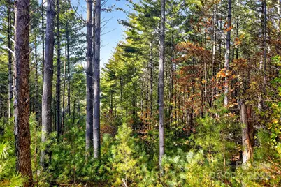 0 West Point Drive, Nebo, NC 28761 - Photo 7