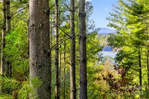 0 W Point Dr, Nebo, NC 28761 - Photo 1