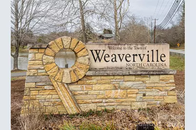 65 Banks Town Road, Weaverville, NC 28787 - Photo 45